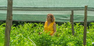 Del bolígrafo a los tomates la periodista que convirtió su finca en un aula agrícola