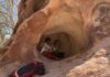 Estudiante de Cal State LA lidera estudio binacional sobre arte rupestre en Baja California