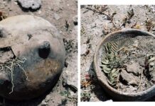 Tehuacán revela escorpión monumental vinculado a Tláloc y Quetzalcóatl