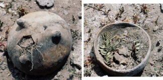 Tehuacán revela escorpión monumental vinculado a Tláloc y Quetzalcóatl