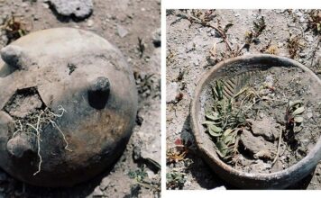 Tehuacán revela escorpión monumental vinculado a Tláloc y Quetzalcóatl