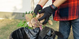 Tradiciones latinas de reciclaje durante el Mes de la Herencia Hispana Tradiciones latinas de Reciclaje durante el mes de la Herencia Hispana External Condado de Los Ángeles