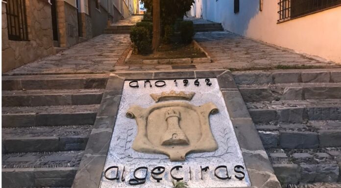 Algeciras más allá del puerto cultura, historia y naturaleza entre dos continentes