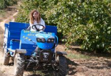 De la aldea al éxito: La historia de una apicultora que inspira a una nueva generación De la aldea al éxito La historia de una apicultora que inspira a una nueva generación