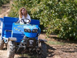 De la aldea al éxito La historia de una apicultora que inspira a una nueva generación