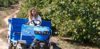 De la aldea al éxito: La historia de una apicultora que inspira a una nueva generación De la aldea al éxito La historia de una apicultora que inspira a una nueva generación