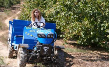 De la aldea al éxito La historia de una apicultora que inspira a una nueva generación