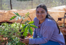 El bosque renace en manos de mujeres rurales argentinas El bosque renace en manos de mujeres rurales argentinas