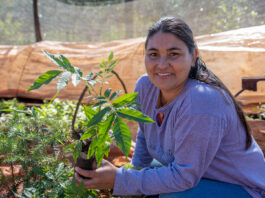El bosque renace en manos de mujeres rurales argentinas