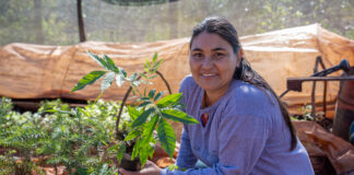 El bosque renace en manos de mujeres rurales argentinas El bosque renace en manos de mujeres rurales argentinas