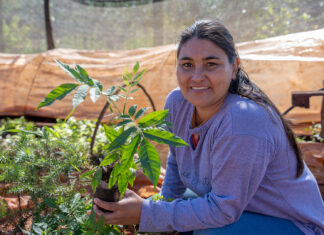 El bosque renace en manos de mujeres rurales argentinas El bosque renace en manos de mujeres rurales argentinas