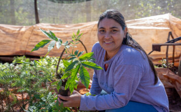 El bosque renace en manos de mujeres rurales argentinas El bosque renace en manos de mujeres rurales argentinas