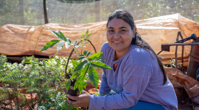 El bosque renace en manos de mujeres rurales argentinas
