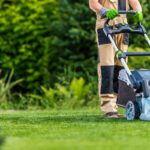 El radiocarbono en el césped La nueva prueba de fuego para la descarbonización urbana