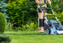 El radiocarbono en el césped: La nueva prueba de fuego para la descarbonización urbana El radiocarbono en el césped La nueva prueba de fuego para la descarbonización urbana