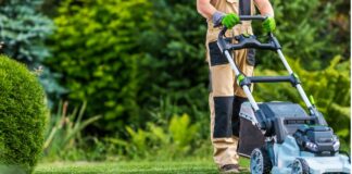 El radiocarbono en el césped: La nueva prueba de fuego para la descarbonización urbana El radiocarbono en el césped La nueva prueba de fuego para la descarbonización urbana