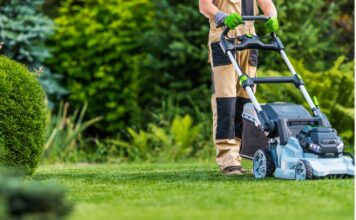 El radiocarbono en el césped La nueva prueba de fuego para la descarbonización urbana