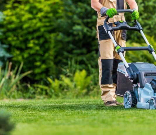 El radiocarbono en el césped La nueva prueba de fuego para la descarbonización urbana