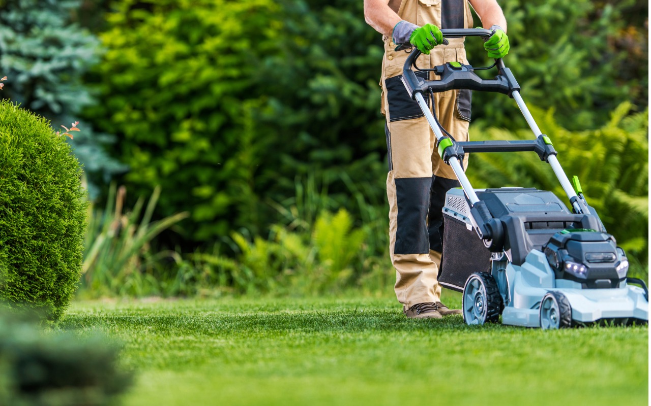 El radiocarbono en el césped La nueva prueba de fuego para la descarbonización urbana El radiocarbono en el césped La nueva prueba de fuego para la descarbonización urbana