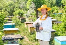 Empoderamiento rural mujeres que desafían tradiciones con colmenas