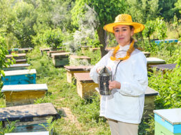 Empoderamiento rural mujeres que desafían tradiciones con colmenas