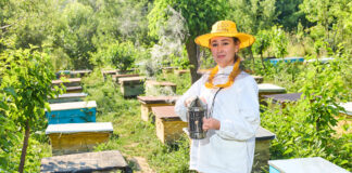 Empoderamiento rural: mujeres que desafían tradiciones con colmenas Empoderamiento rural mujeres que desafían tradiciones con colmenas