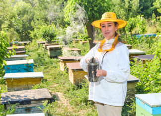 Empoderamiento rural: mujeres que desafían tradiciones con colmenas Empoderamiento rural mujeres que desafían tradiciones con colmenas