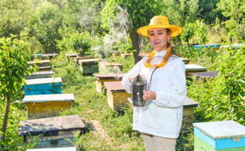Empoderamiento rural mujeres que desafían tradiciones con colmenas