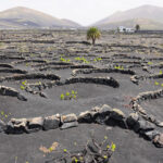 Lanzarote transforma su paisaje volcánico en fuente de vida y sostenibilidad