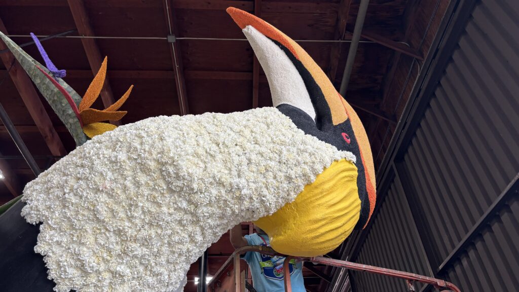 «Atesoremos cada momento juntos» La carroza que celebra la vida y la donación de órganos