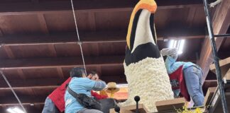 «Atesoremos cada momento juntos»: La carroza que celebra la vida y la donación de órganos «Atesoremos cada momento juntos» - La carroza que celebra la vida y la donación de órganos