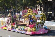 Desfile de las Rosas historia, flores y caballos en una tradición centenaria