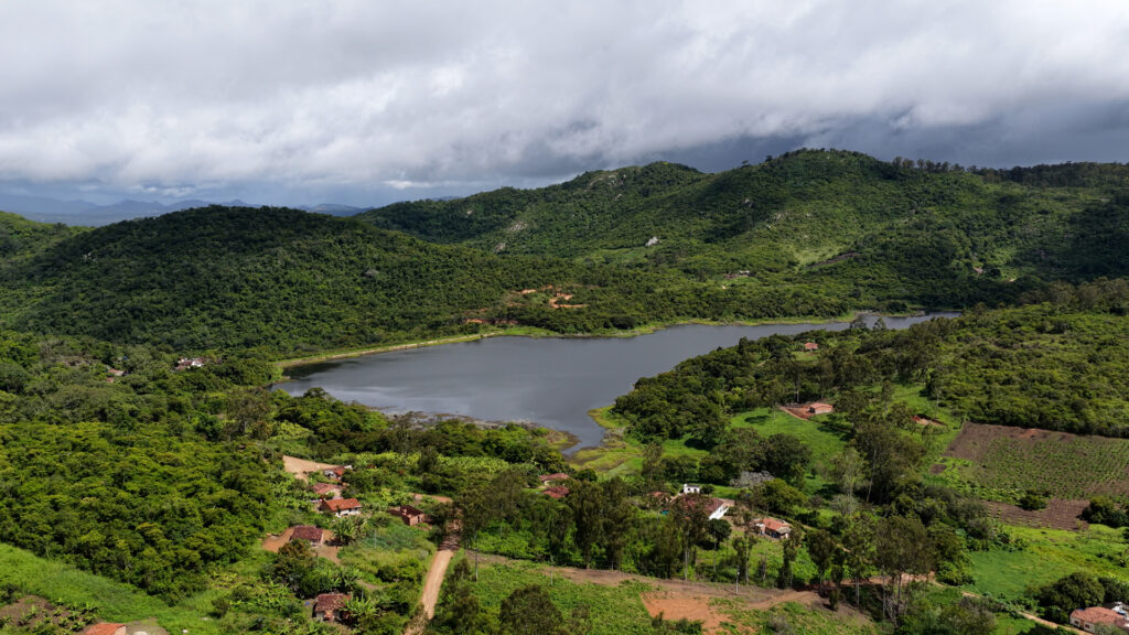 El renacer del bosque xukurú - restauración biocéntrica en el corazón de Brasil