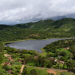 El renacer del bosque xukurú - restauración biocéntrica en el corazón de Brasil