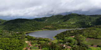 El renacer del bosque xukurú - restauración biocéntrica en el corazón de Brasil
