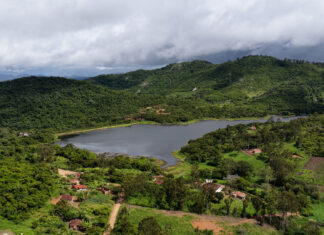 El renacer del bosque xukurú: restauración biocéntrica en el corazón de Brasil El renacer del bosque xukurú - restauración biocéntrica en el corazón de Brasil