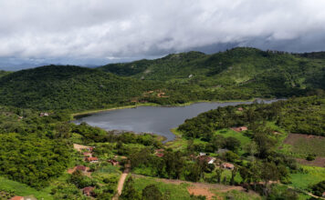 El renacer del bosque xukurú: restauración biocéntrica en el corazón de Brasil El renacer del bosque xukurú - restauración biocéntrica en el corazón de Brasil