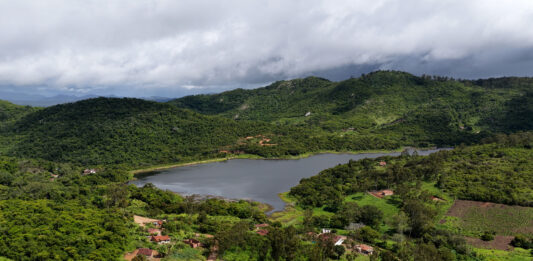 El renacer del bosque xukurú: restauración biocéntrica en el corazón de Brasil El renacer del bosque xukurú - restauración biocéntrica en el corazón de Brasil