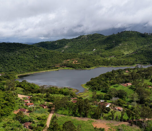 El renacer del bosque xukurú: restauración biocéntrica en el corazón de Brasil El renacer del bosque xukurú - restauración biocéntrica en el corazón de Brasil
