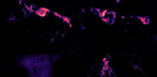 Los agujeros negros no siempre comen: Estudio cuestiona su crecimiento durante colisiones de galaxias Los agujeros negros también son selectivos ALMA revela que no siempre se alimentan durante fusiones galácticas