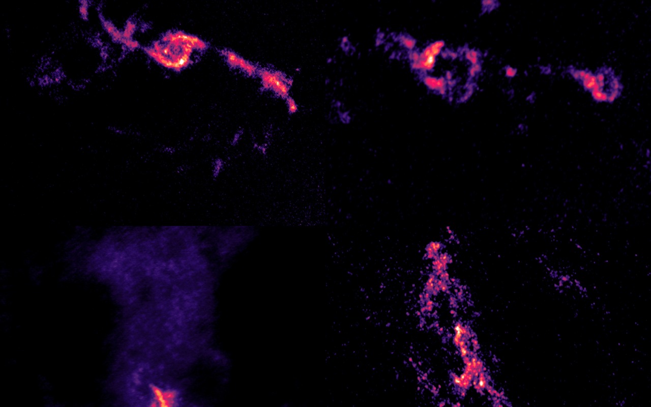 Los agujeros negros también son selectivos ALMA revela que no siempre se alimentan durante fusiones galácticas Los agujeros negros también son selectivos ALMA revela que no siempre se alimentan durante fusiones galácticas