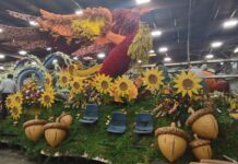 Una carroza en el Desfile de las Rosas honra la resiliencia de los sobrevivientes de incendios forestales en California Una carroza en el Desfile de las Rosas honra la resiliencia de los sobrevivientes de incendios forestales en California