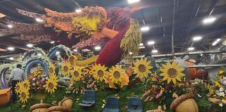 Una carroza en el Desfile de las Rosas honra la resiliencia de los sobrevivientes de incendios forestales en California Una carroza en el Desfile de las Rosas honra la resiliencia de los sobrevivientes de incendios forestales en California