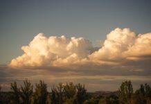 2025 fue uno de los tres años más cálidos jamás registrados, confirma la OMM 2025 fue uno de los tres años más cálidos jamás registrados, confirma la OMM