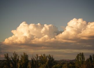 2025 fue uno de los tres años más cálidos jamás registrados, confirma la OMM 2025 fue uno de los tres años más cálidos jamás registrados, confirma la OMM