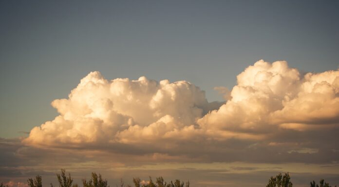 2025 fue uno de los tres años más cálidos jamás registrados, confirma la OMM 2025 fue uno de los tres años más cálidos jamás registrados, confirma la OMM