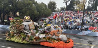 Convocan diseños para carrozas del Desfile de las Rosas 2027 Convocan diseños para carrozas del Desfile de las Rosas 2027