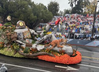 Convocan diseños para carrozas del Desfile de las Rosas 2027 Convocan diseños para carrozas del Desfile de las Rosas 2027