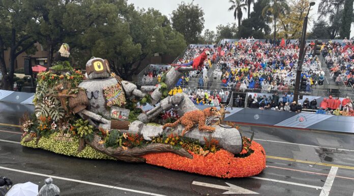 Convocan diseños para carrozas del Desfile de las Rosas 2027 Convocan diseños para carrozas del Desfile de las Rosas 2027