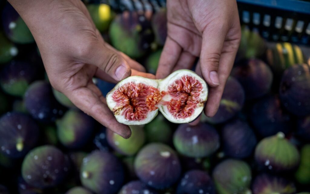 El higo negro de Bursa ya tiene indicación geográfica europea